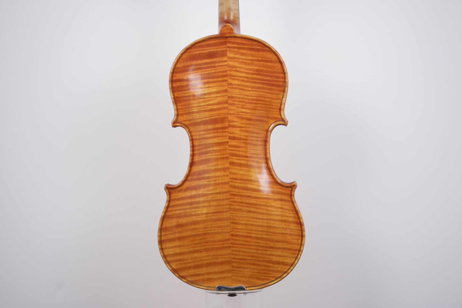 The back of a violin is shown on a white background