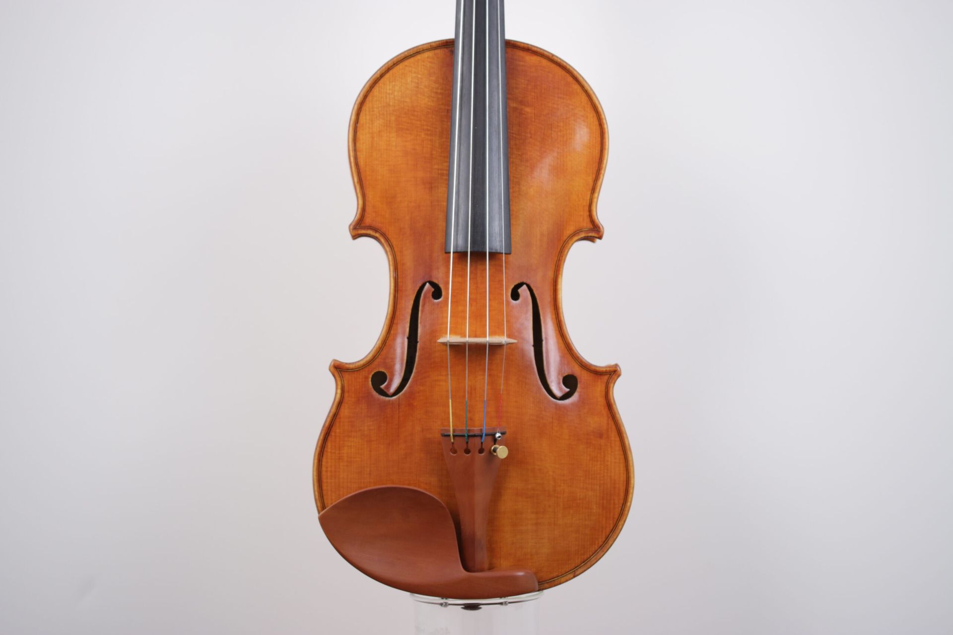 A close up of a violin on a white background
