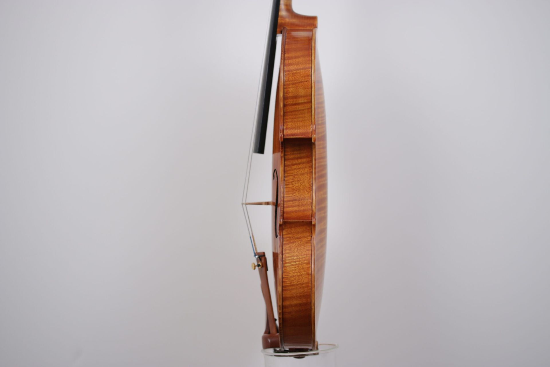 A close up of a violin on a white background.