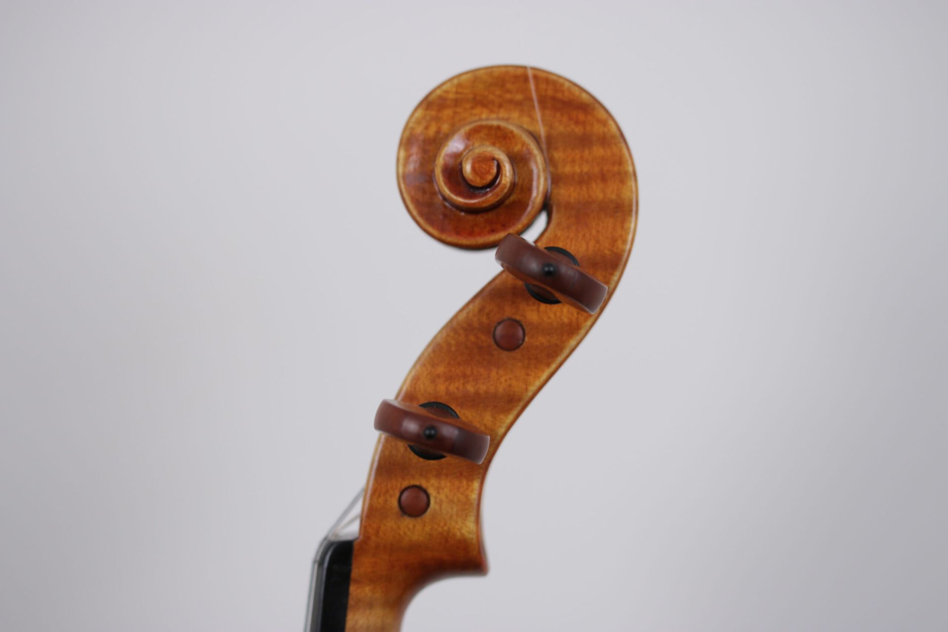 A close up of the headstock of a violin on a white background.