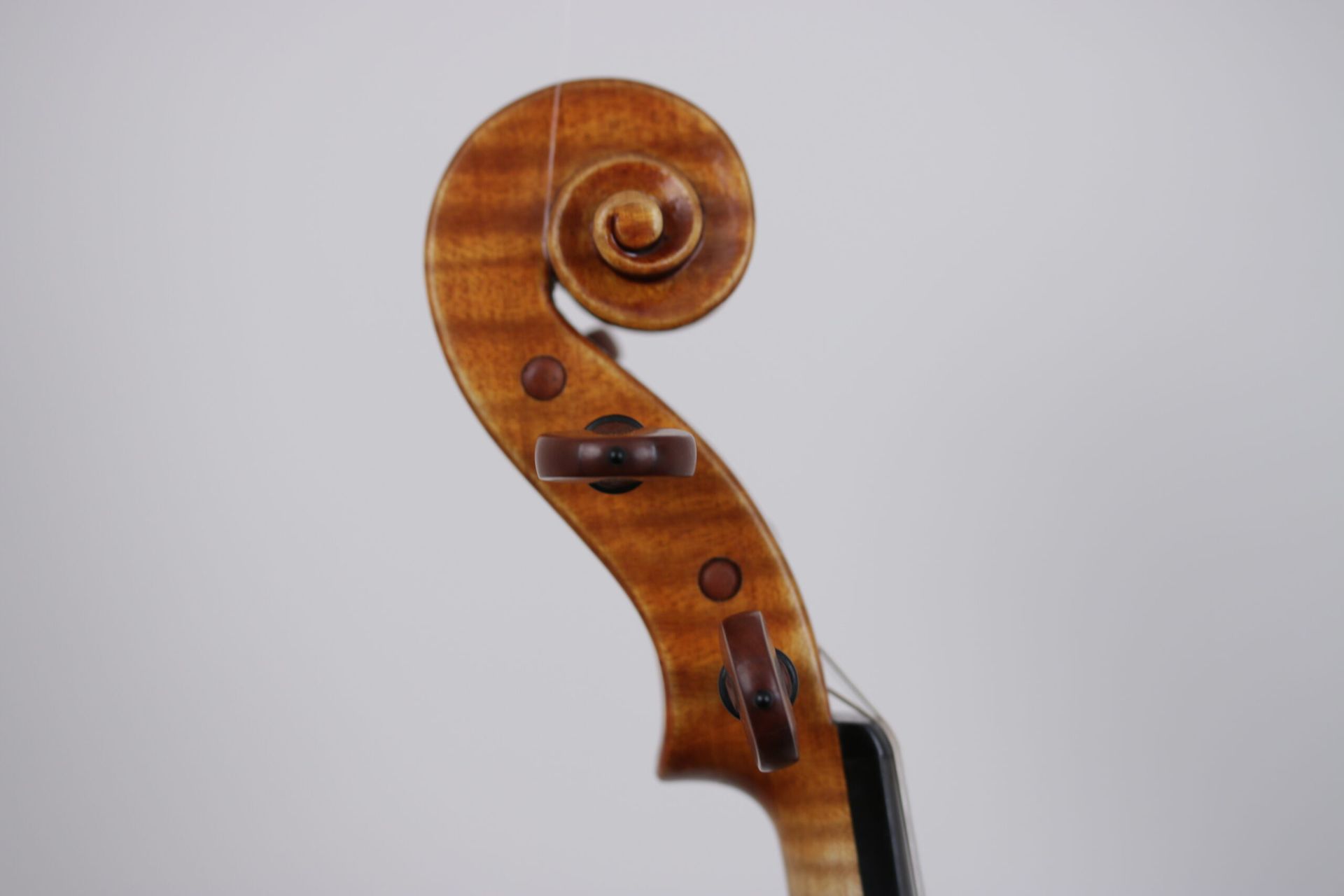 A close up of the headstock of a violin