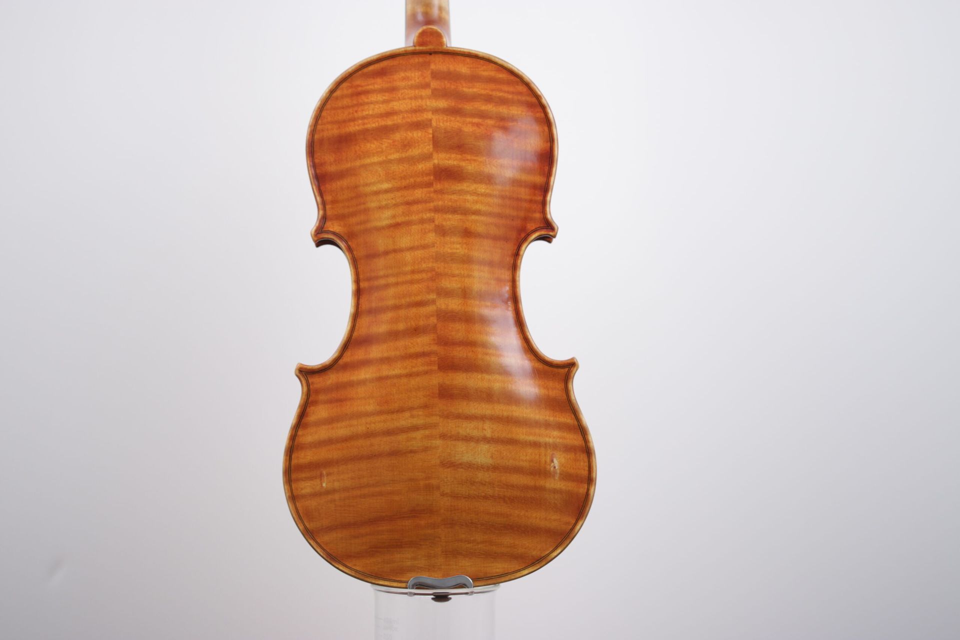 The back of a violin is shown on a white background.