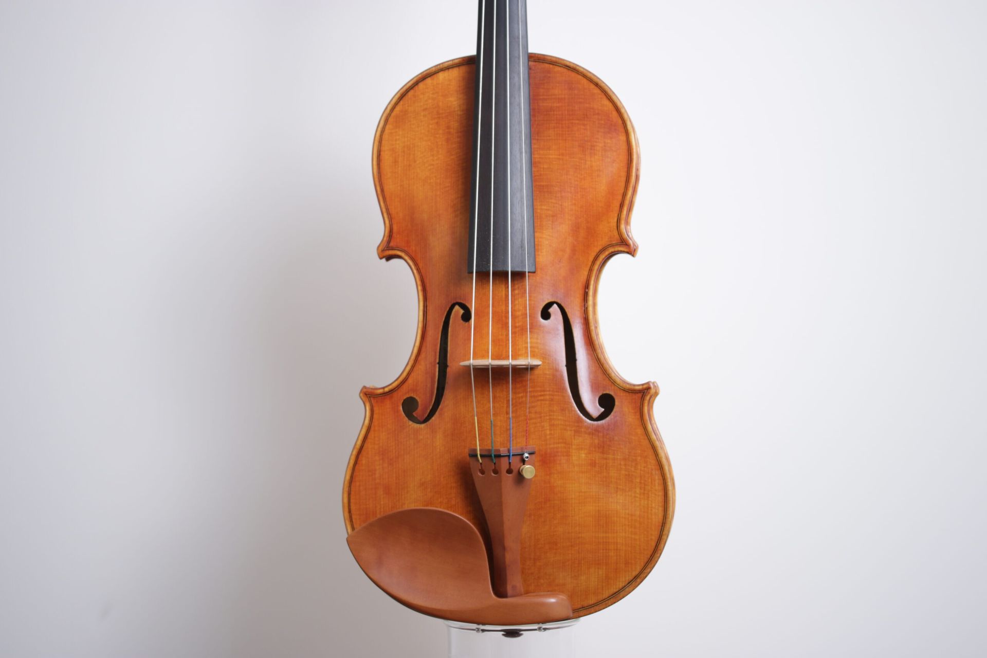 A close up of a violin with a black background