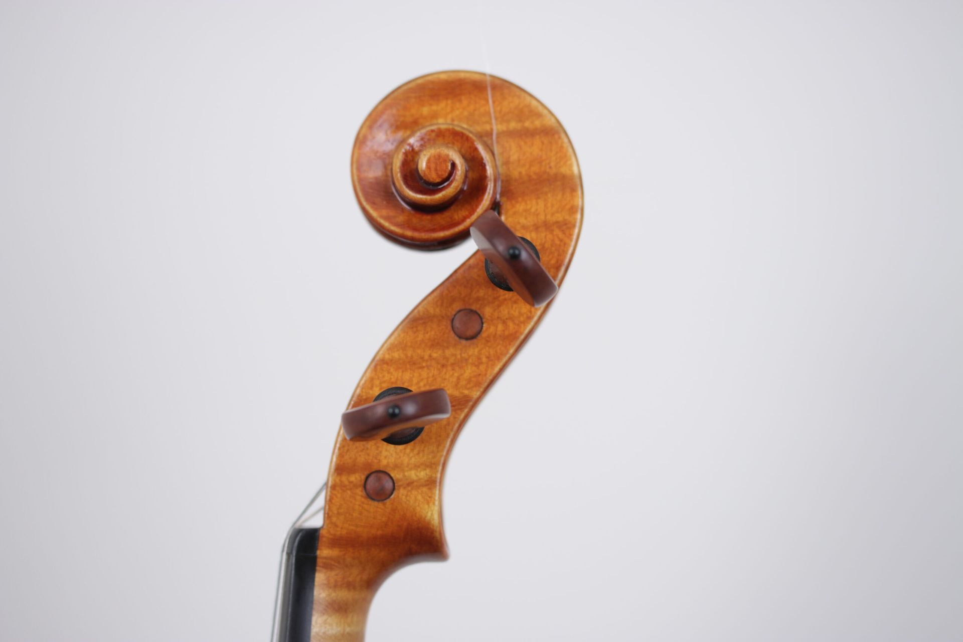 A close up of a violin scroll on a white background.