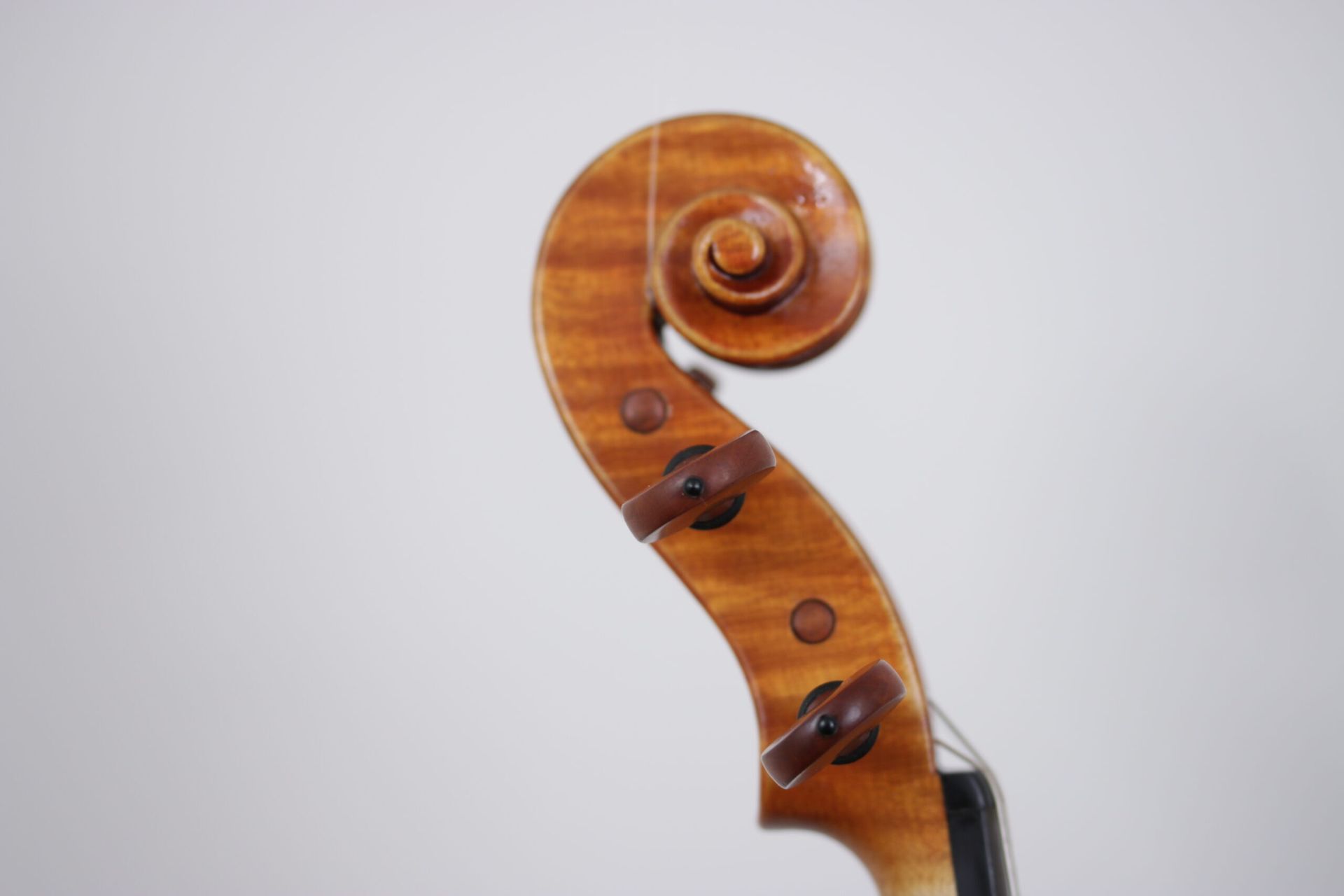 A close up of the headstock of a violin against a white background.
