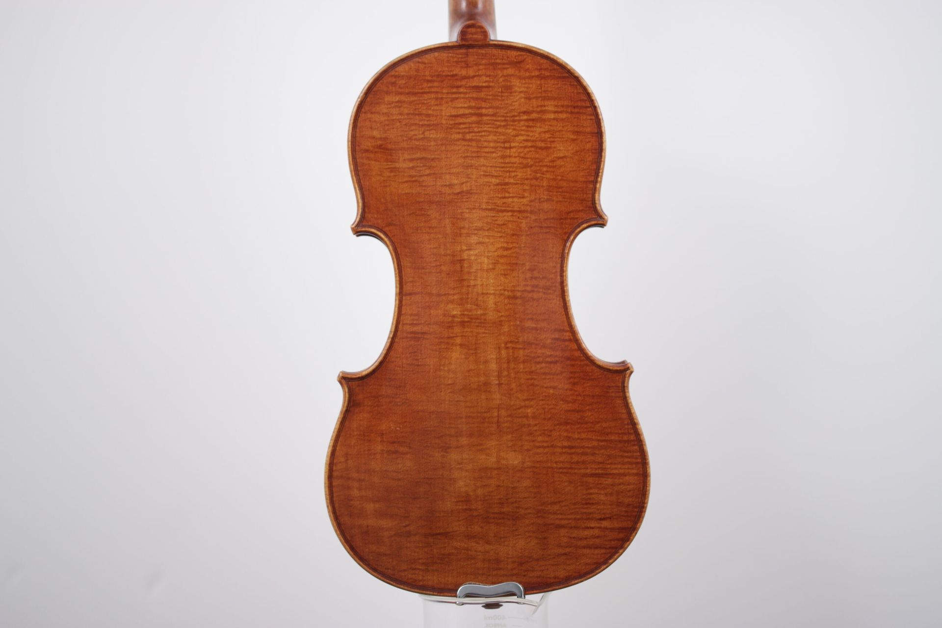 The back of a violin is shown on a white background.