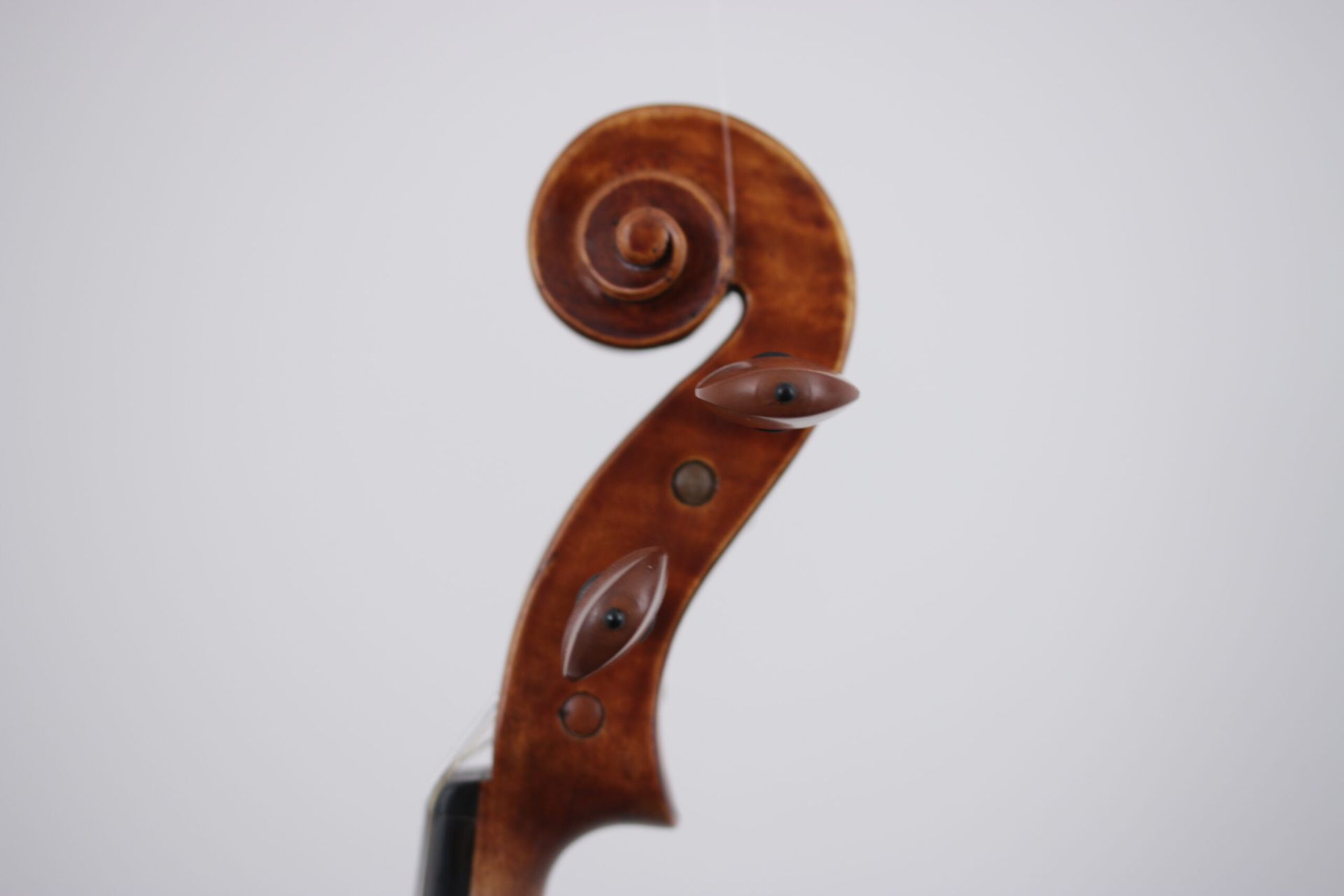 A close up of a violin head with a spiral design