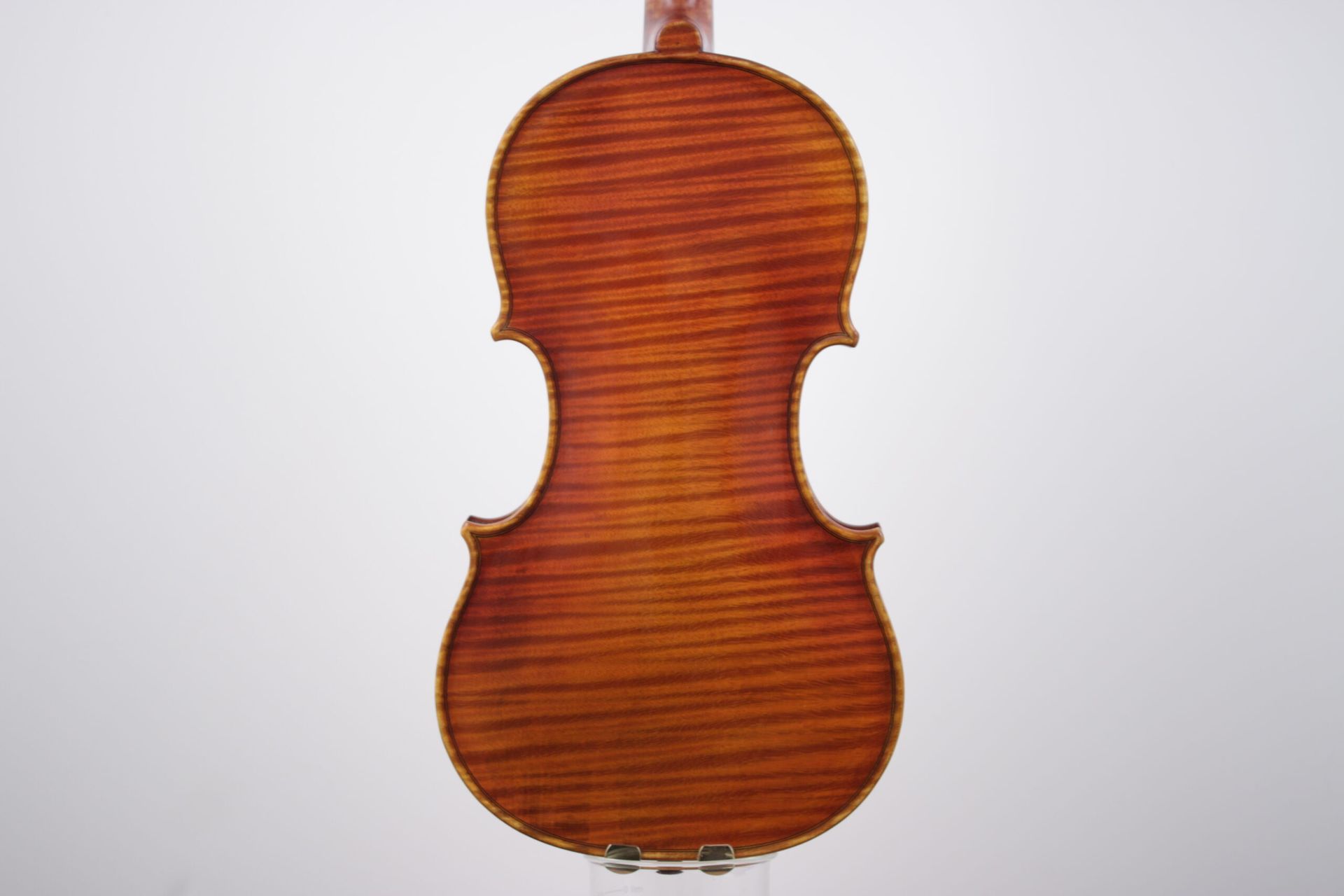 The back of a violin is shown on a white background.