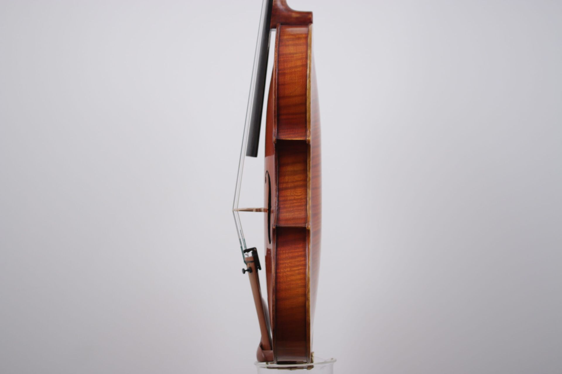 A close up of a violin on a white background.