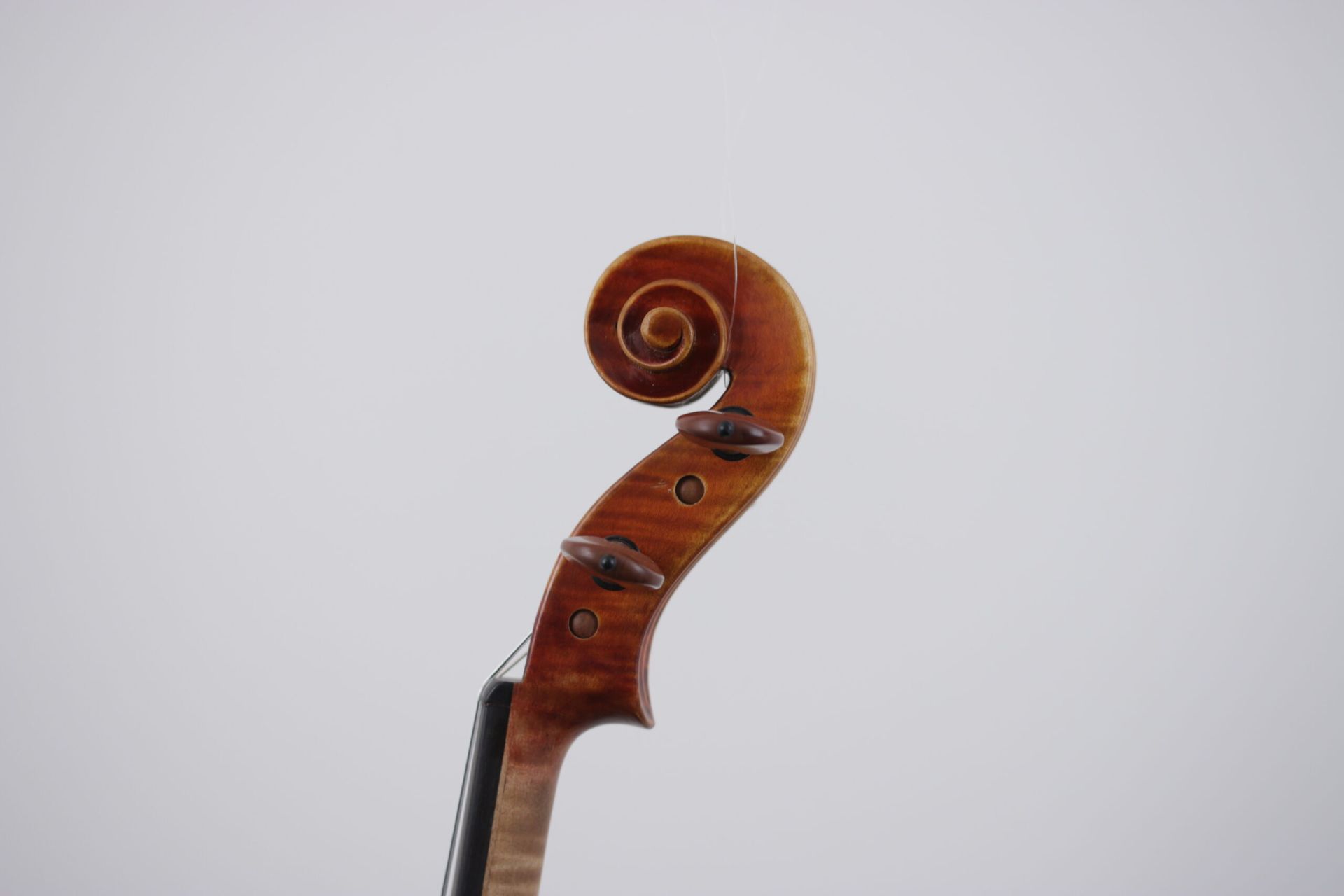 A close up of a violin headstock on a white background.