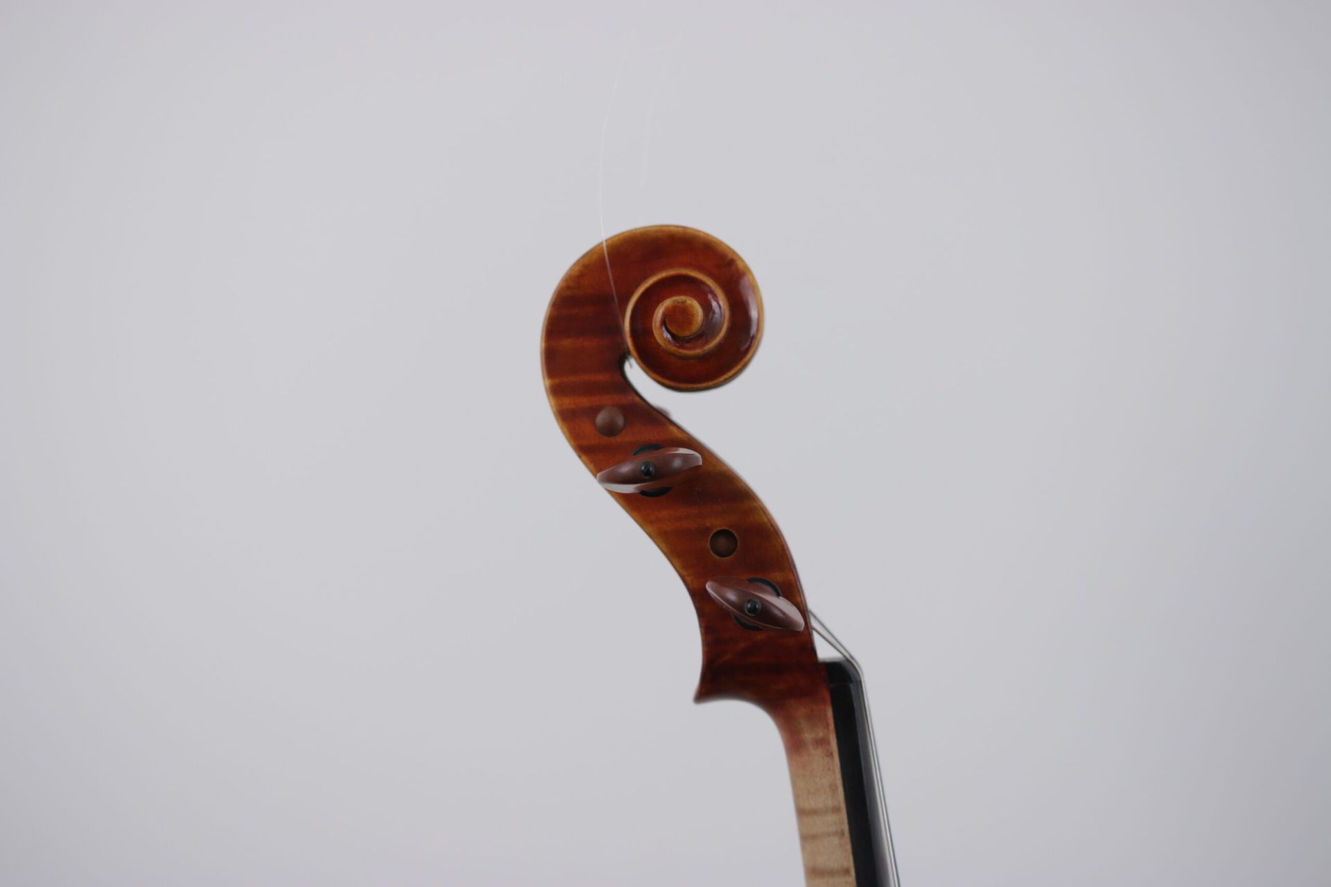 A close up of a violin headstock on a white background