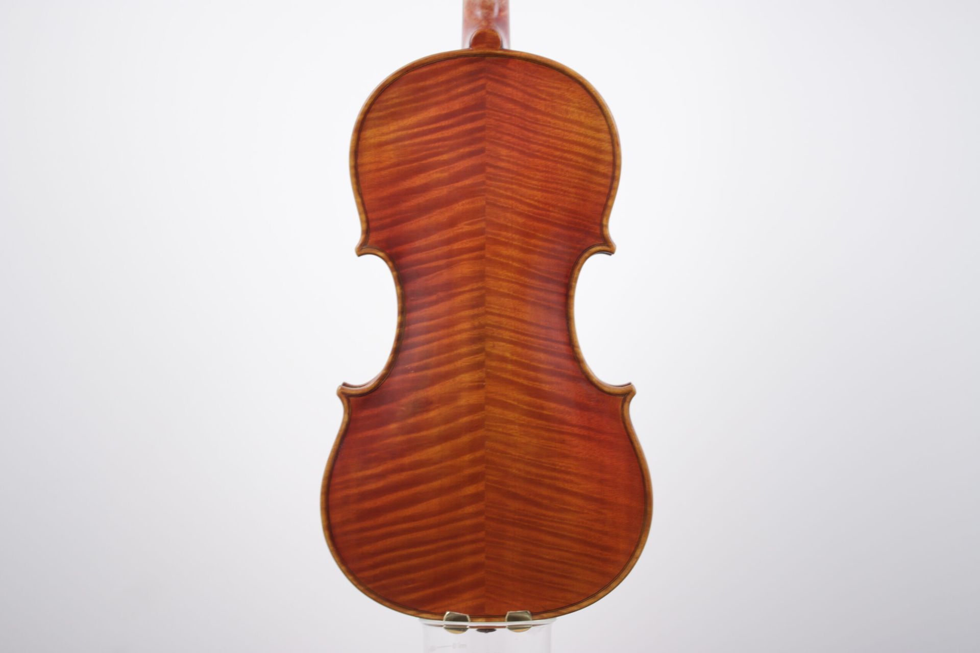 The back of a violin is shown on a white background