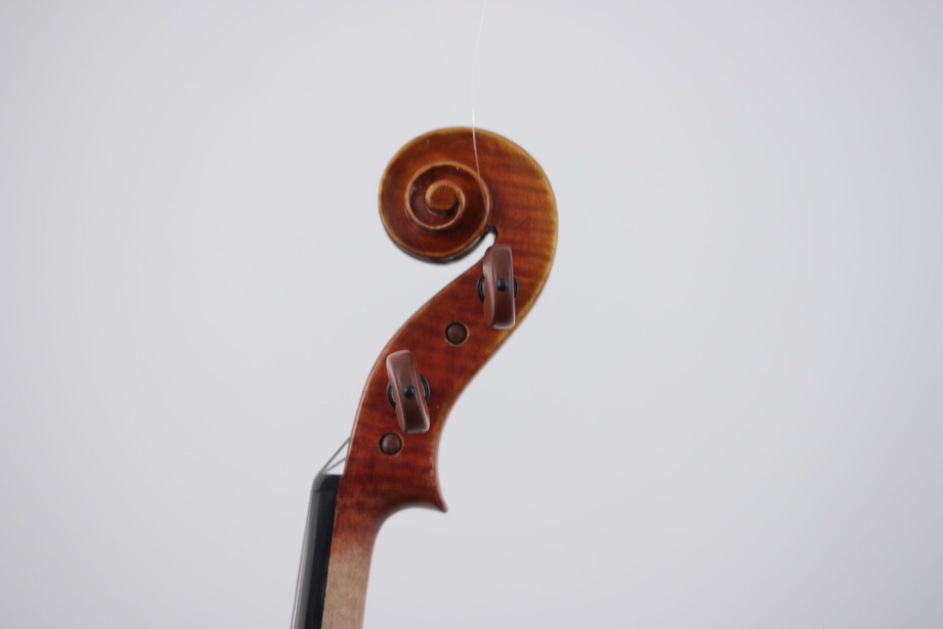 A close up of a violin head on a white background