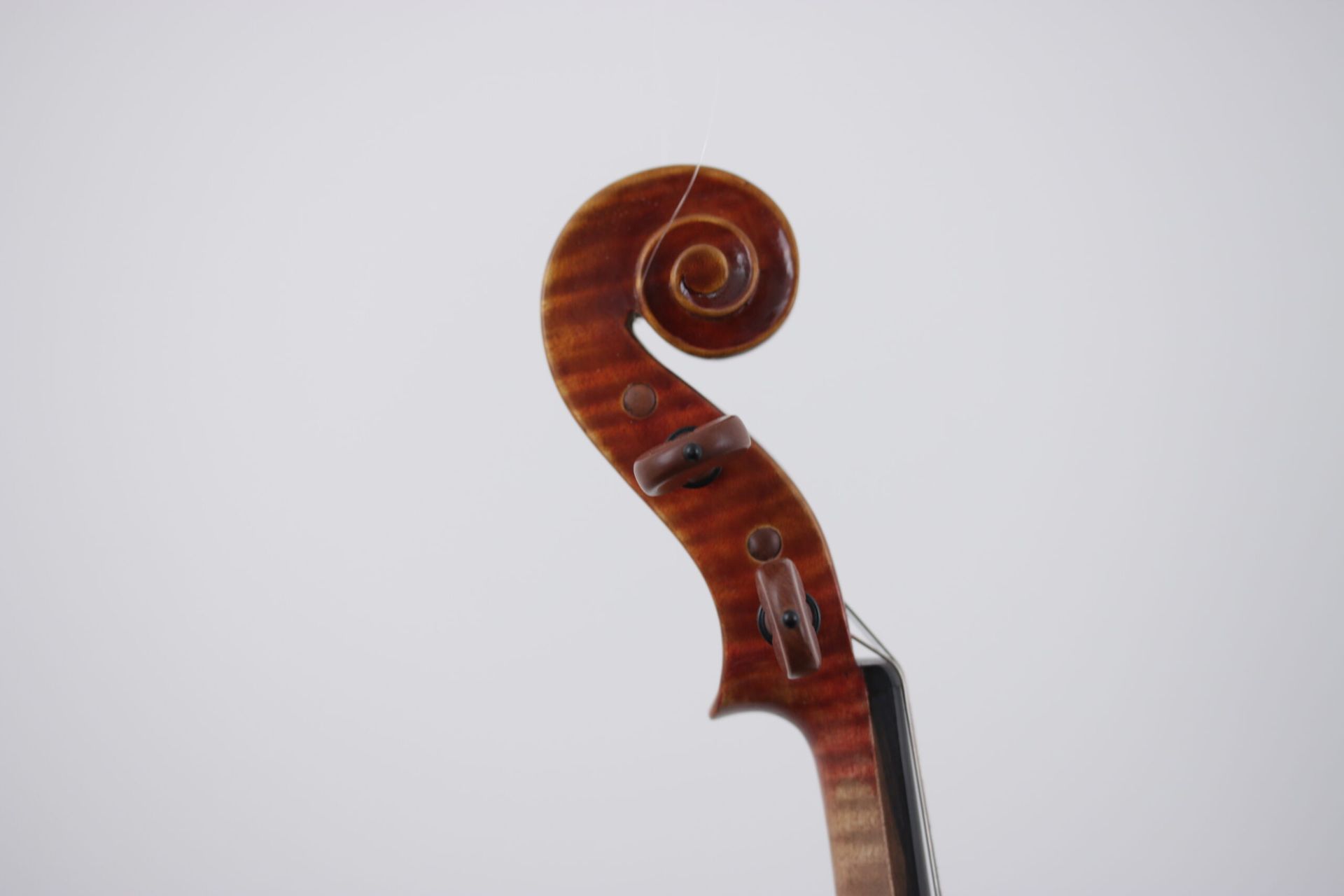 A close up of the headstock of a violin