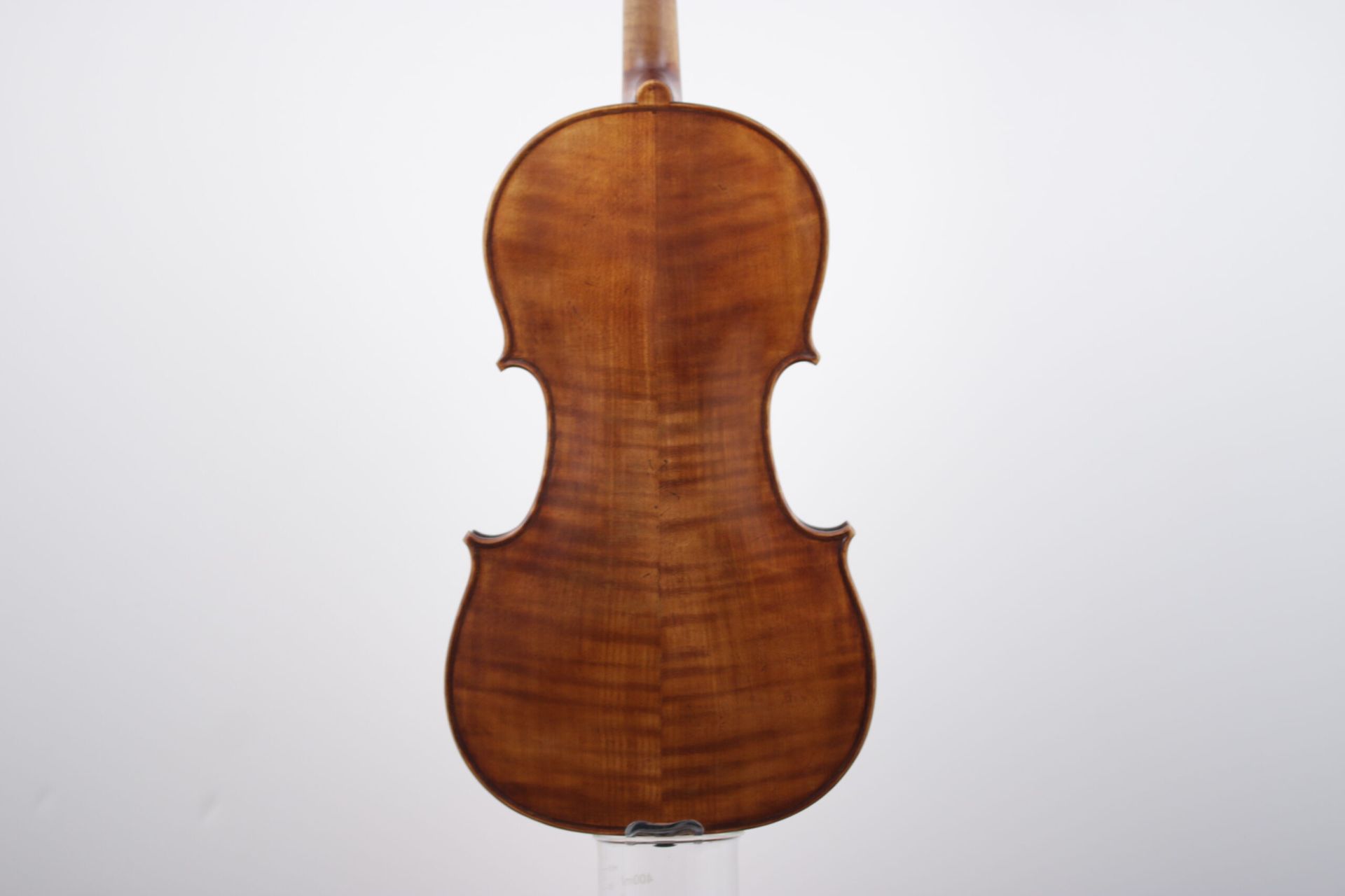 The back of a violin is shown on a white background