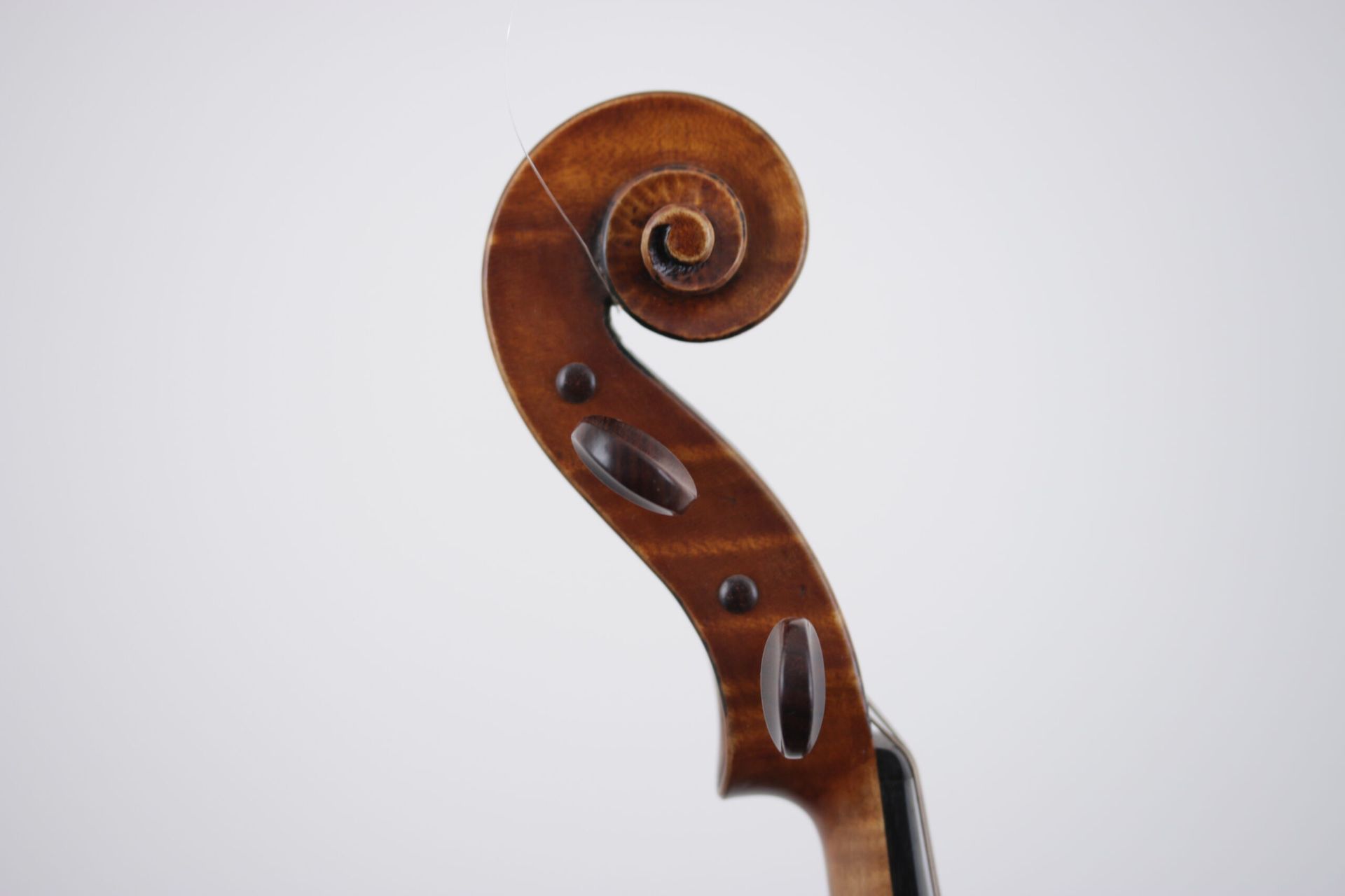 A close up of a violin scroll on a white background