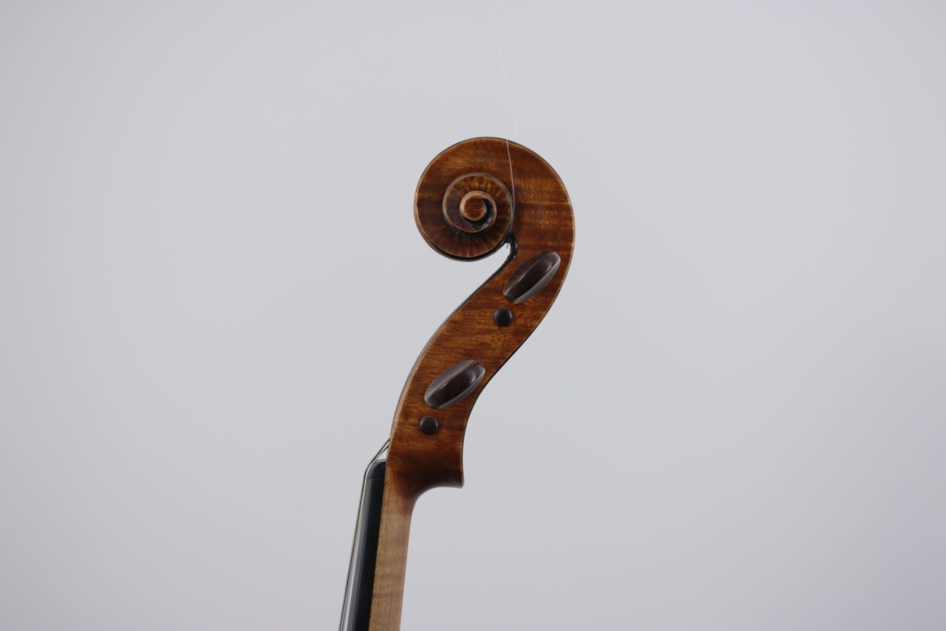A close up of a violin scroll on a white background.