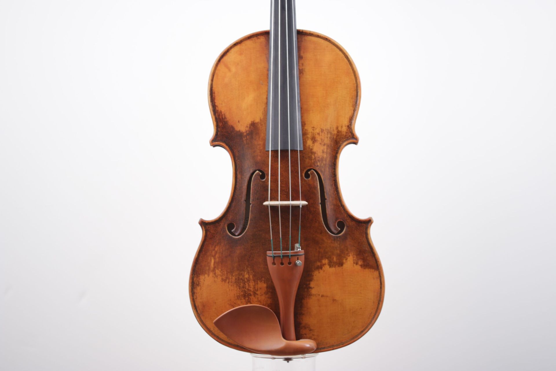 A close up of a violin on a white background