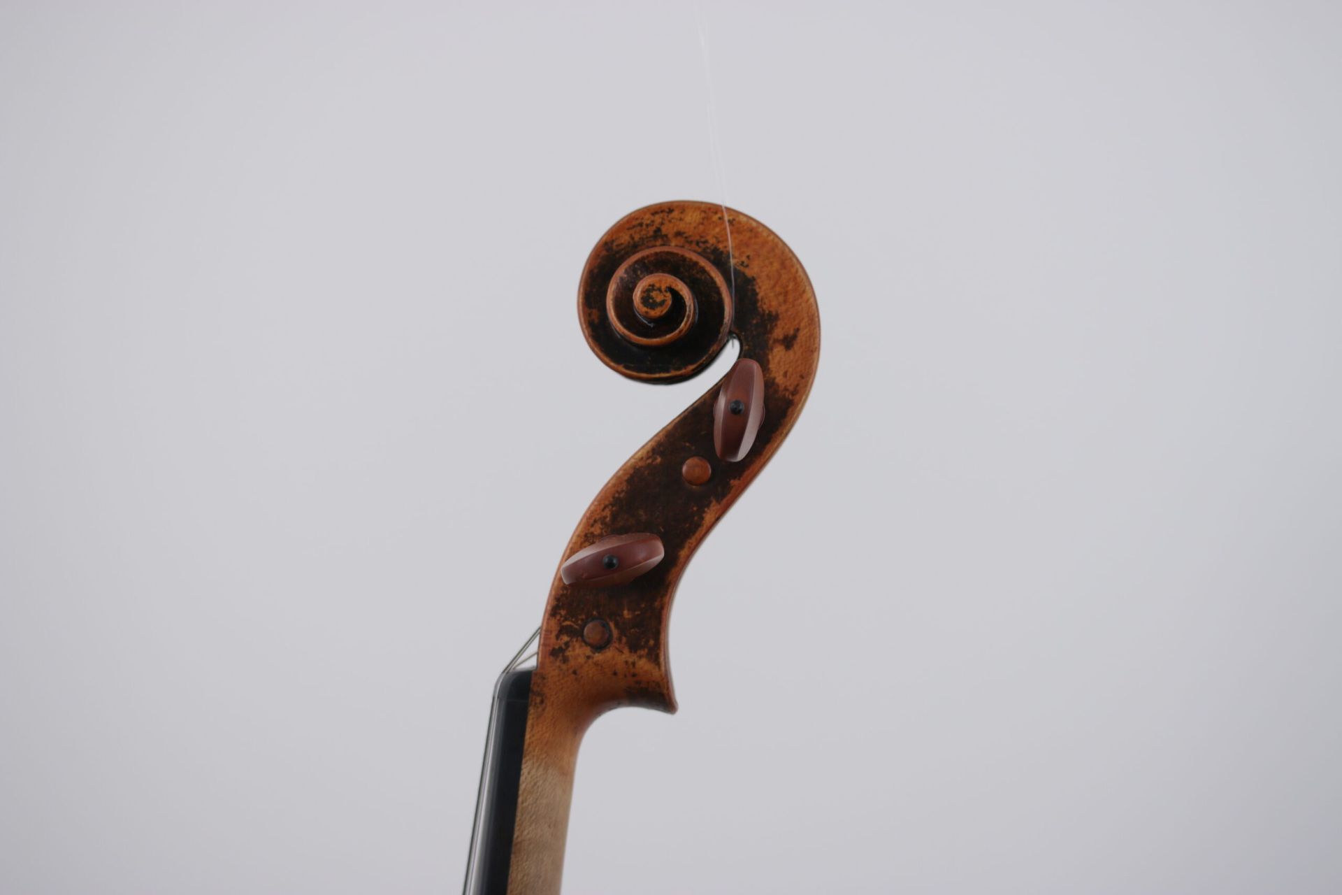A close up of a violin scroll on a white background.