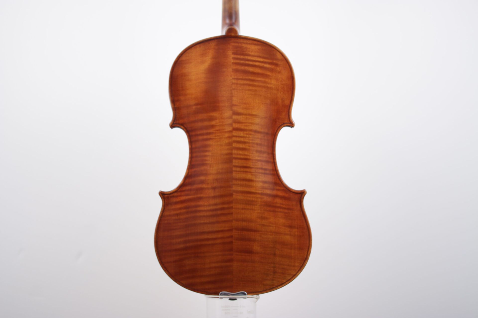 The back of a violin is shown on a white background.