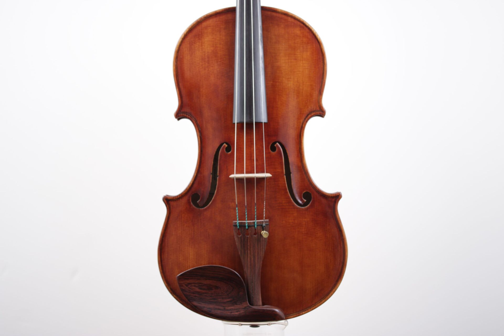 A close up of a violin on a white background