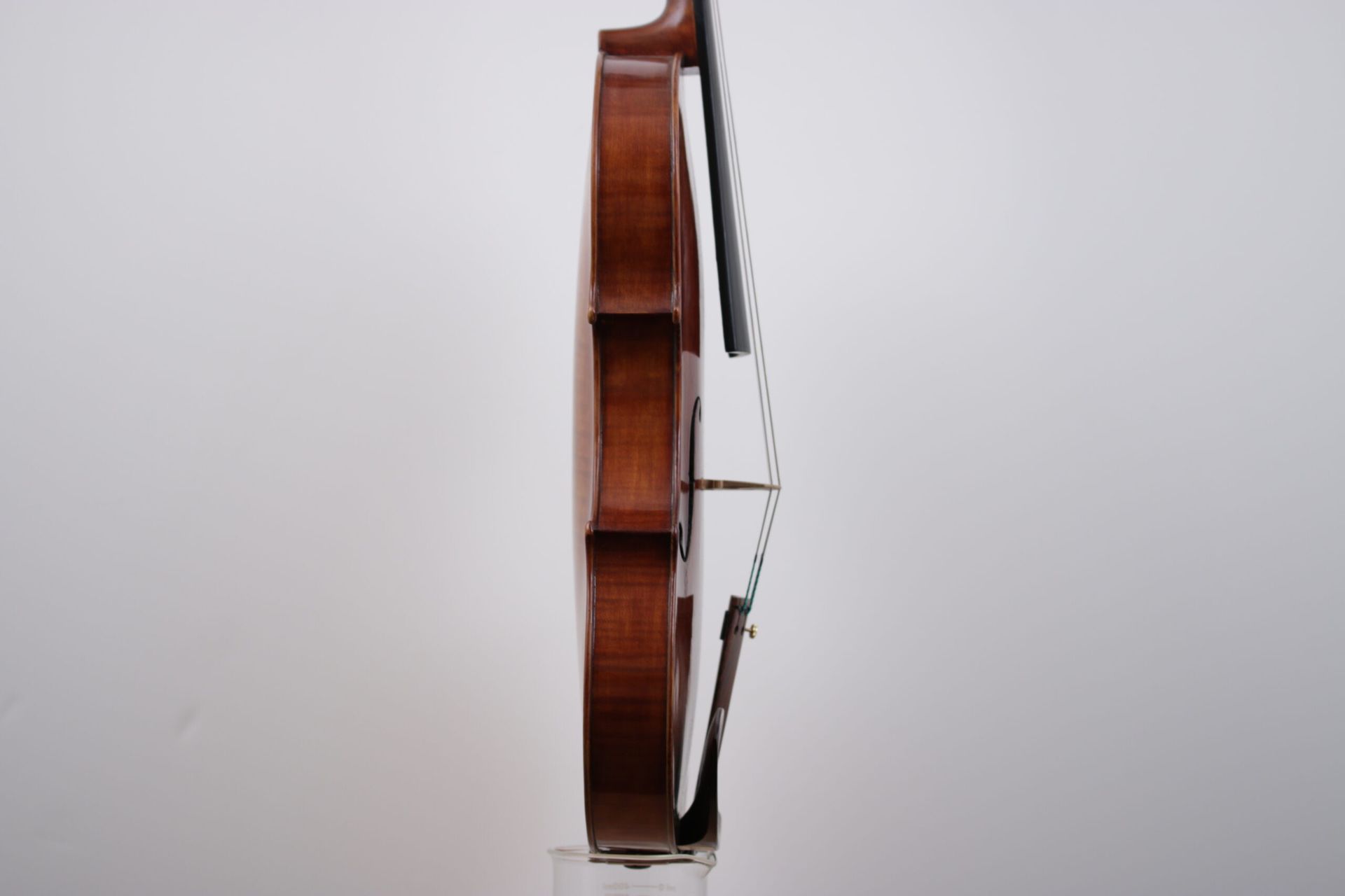 A violin is on display against a white wall