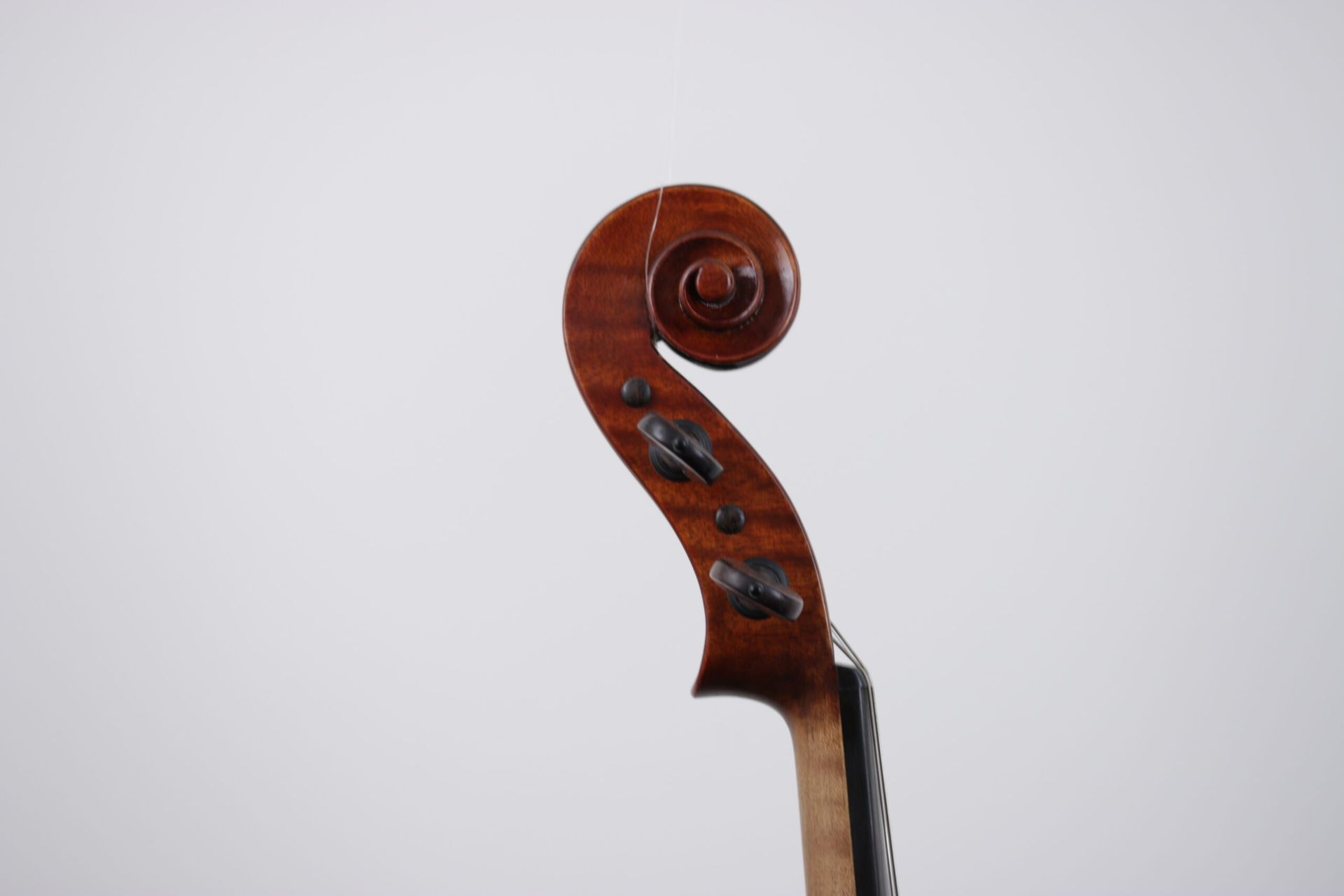 A close up of a violin headstock on a white background
