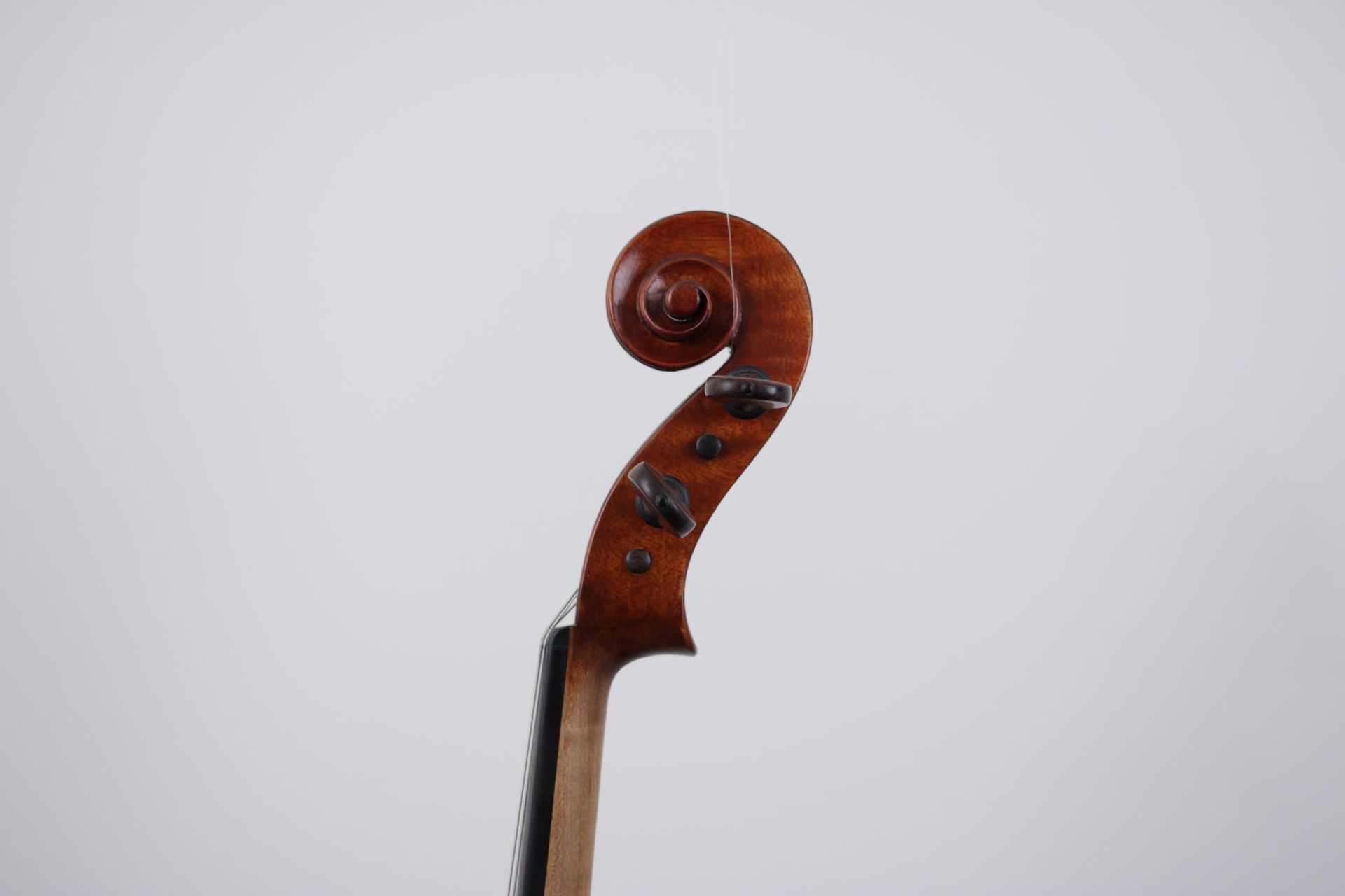 A close up of a violin headstock on a white background.