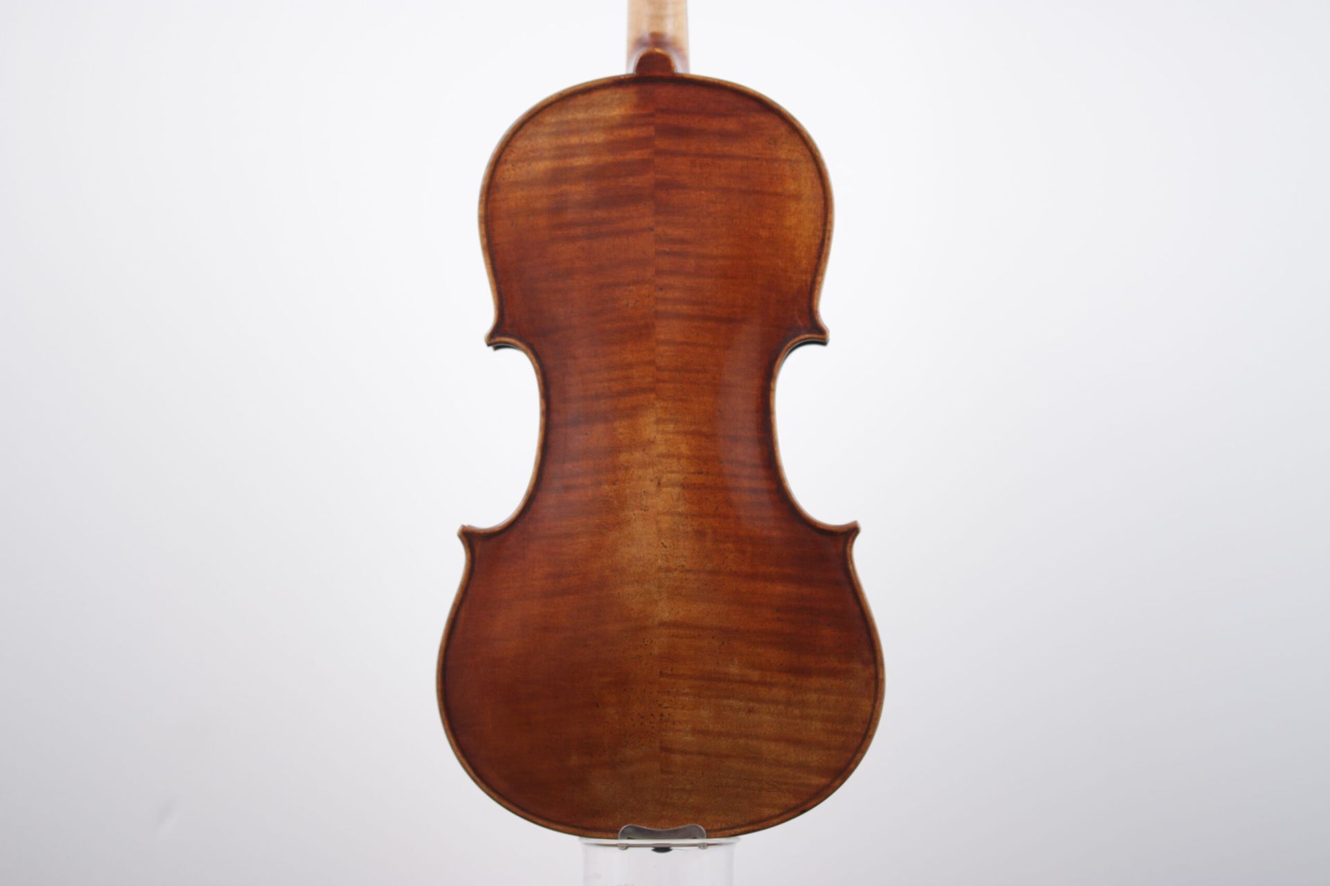 The back of a violin is shown on a white background.
