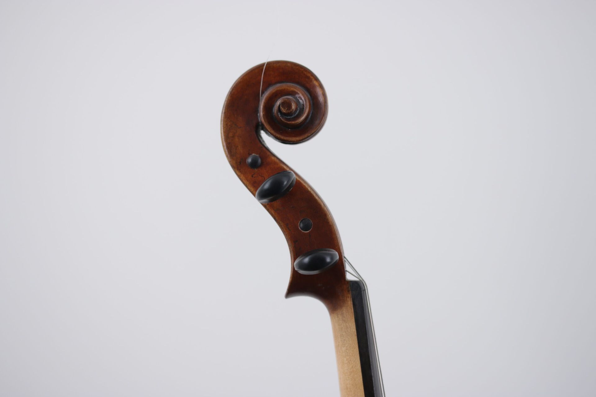 A close up of a violin scroll on a white background