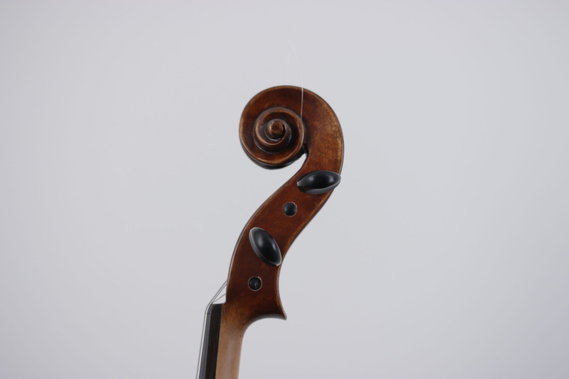 A close up of a violin scroll on a white background