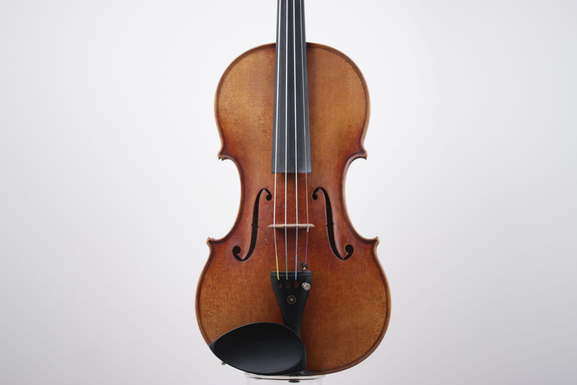 A close up of a violin on a white background