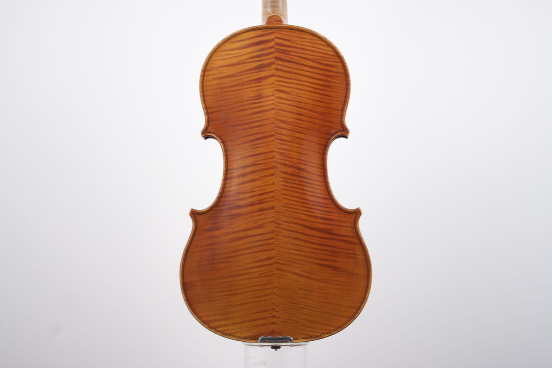 The back of a violin is shown on a white background
