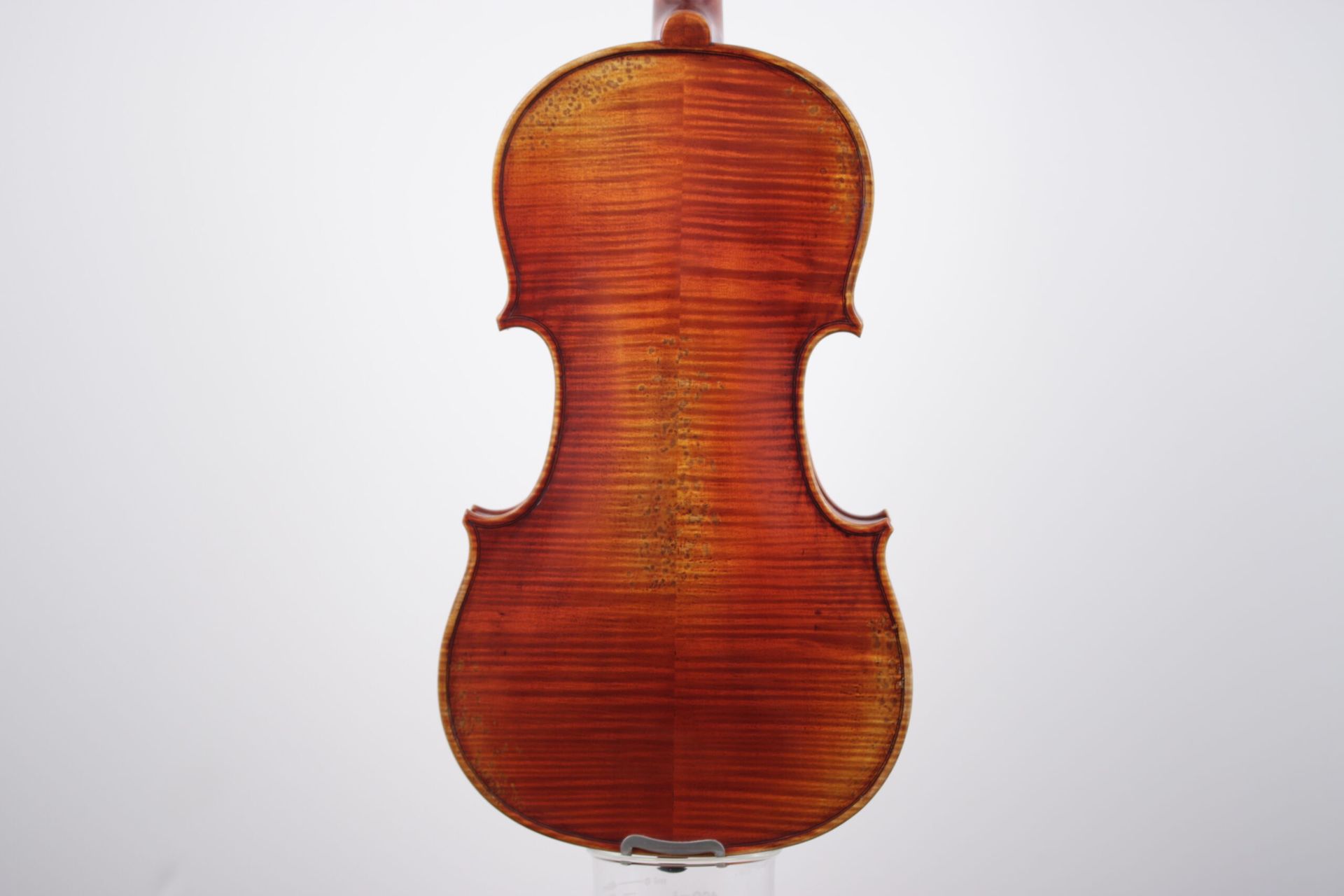 The back of a violin is shown on a white background