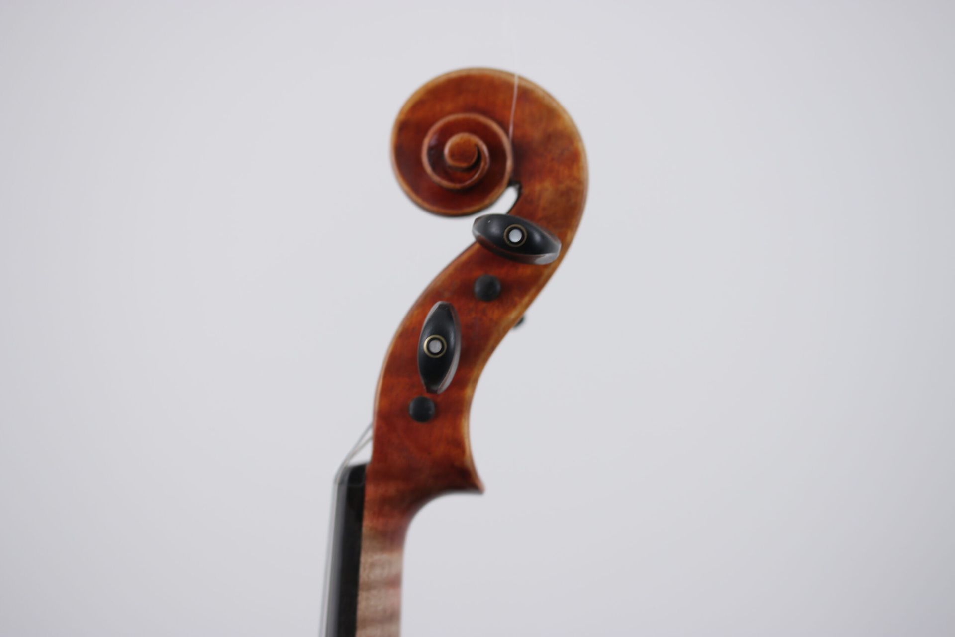 A close up of a violin head on a white background