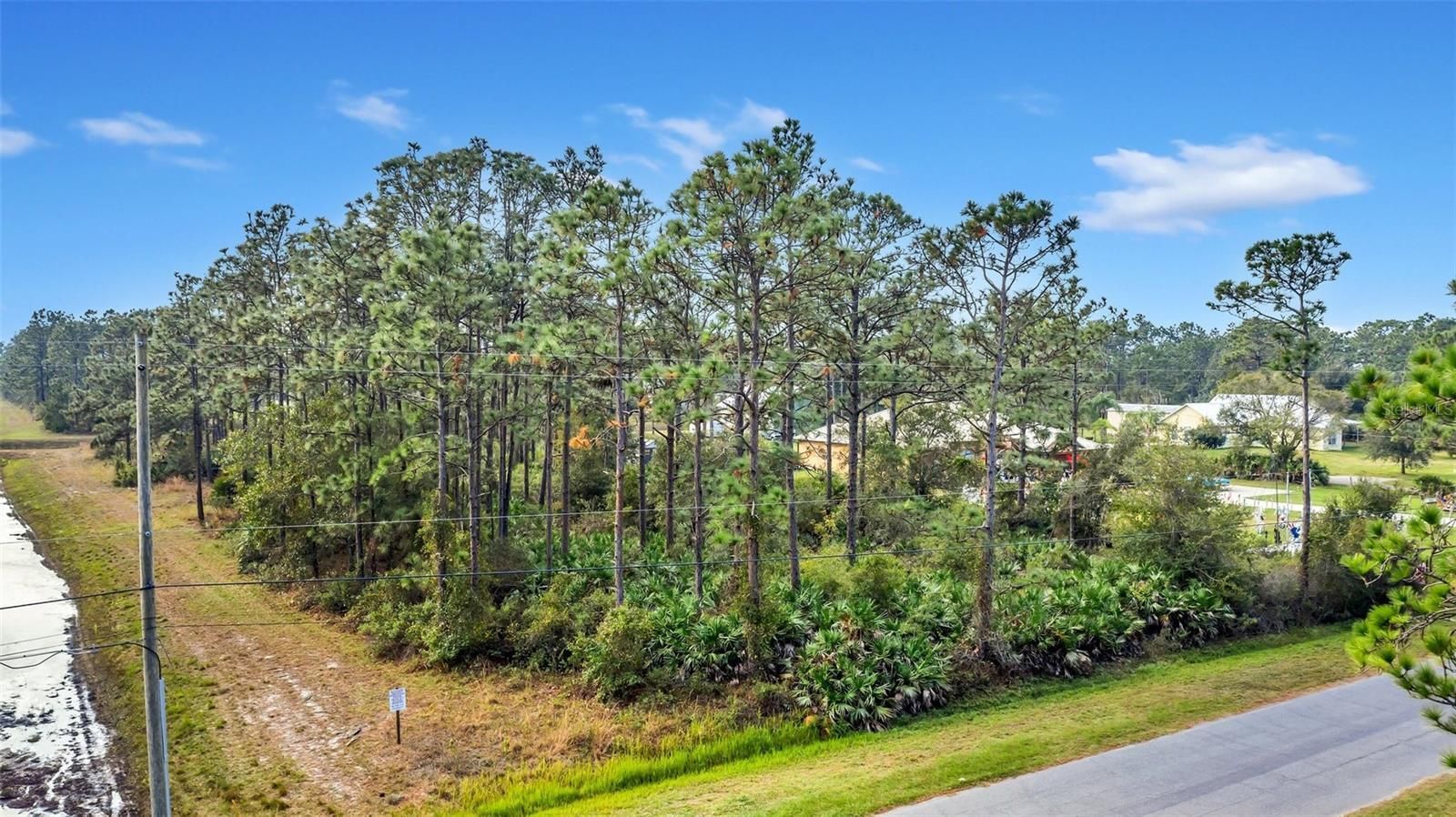 Lush trees on a plot of land next to a drainage ditch under a bright blue sky. A paved road borders the land.