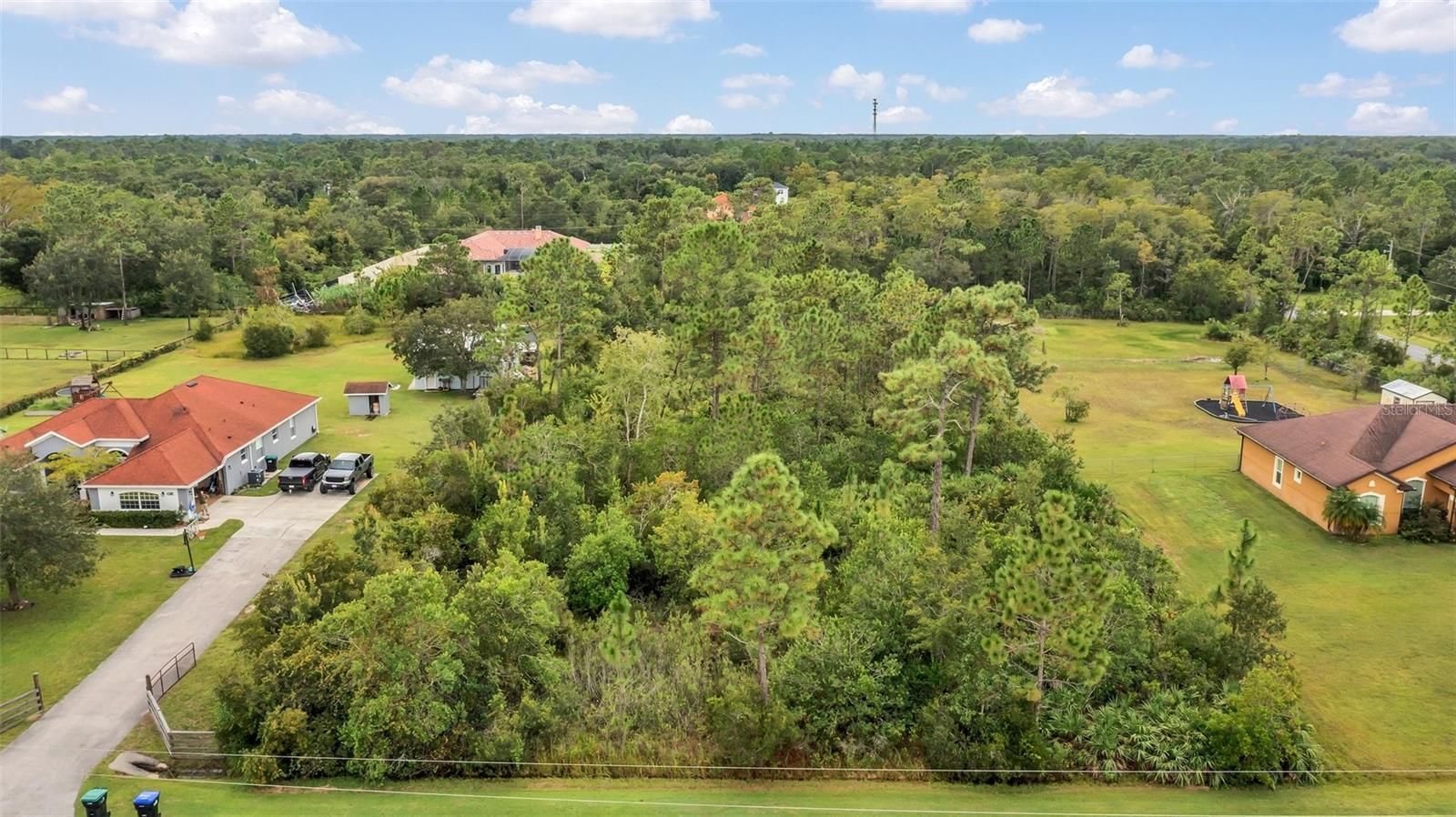 Aerial view of a wooded lot surrounded by residential houses, with green foliage and blue sky.