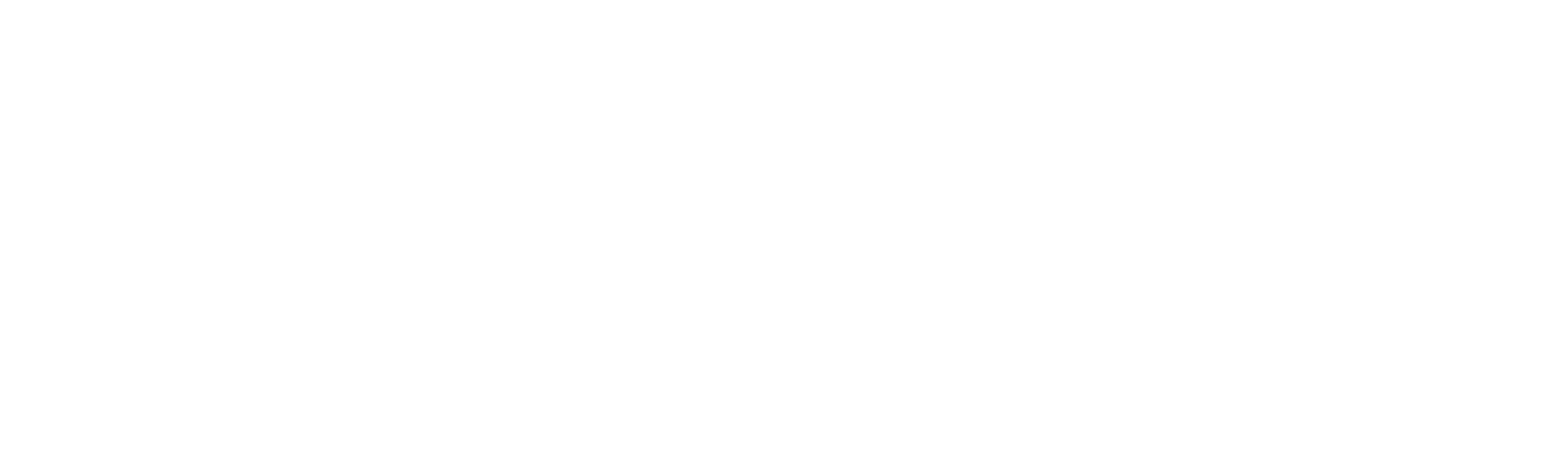 Real Estate Pros FL Logo