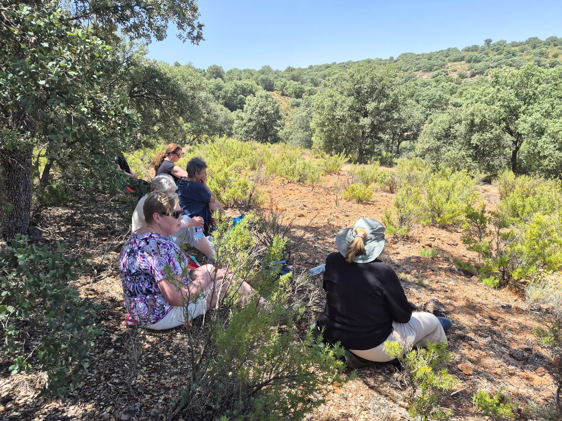 een aantal retraitegangers in de natuur van castilla la mancha