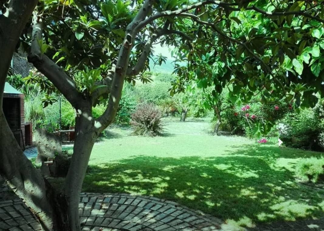 tuin van een retreat locatie van Anna Houben