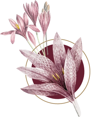 Pink and burgundy floral illustration with delicate blossoms and gold ring accents