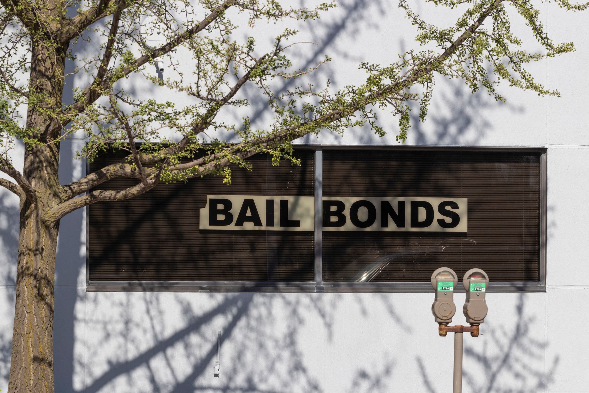 Bail bonds sign on a building, partly shaded by tree branches, with a parking meter in front.