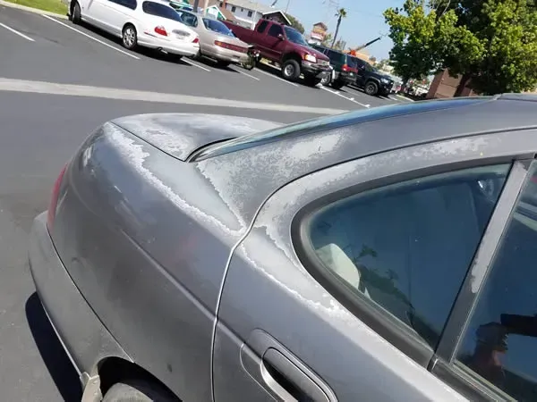Close-up of a silver car’s rear quarter panel in a parking lot with other parked cars nearby