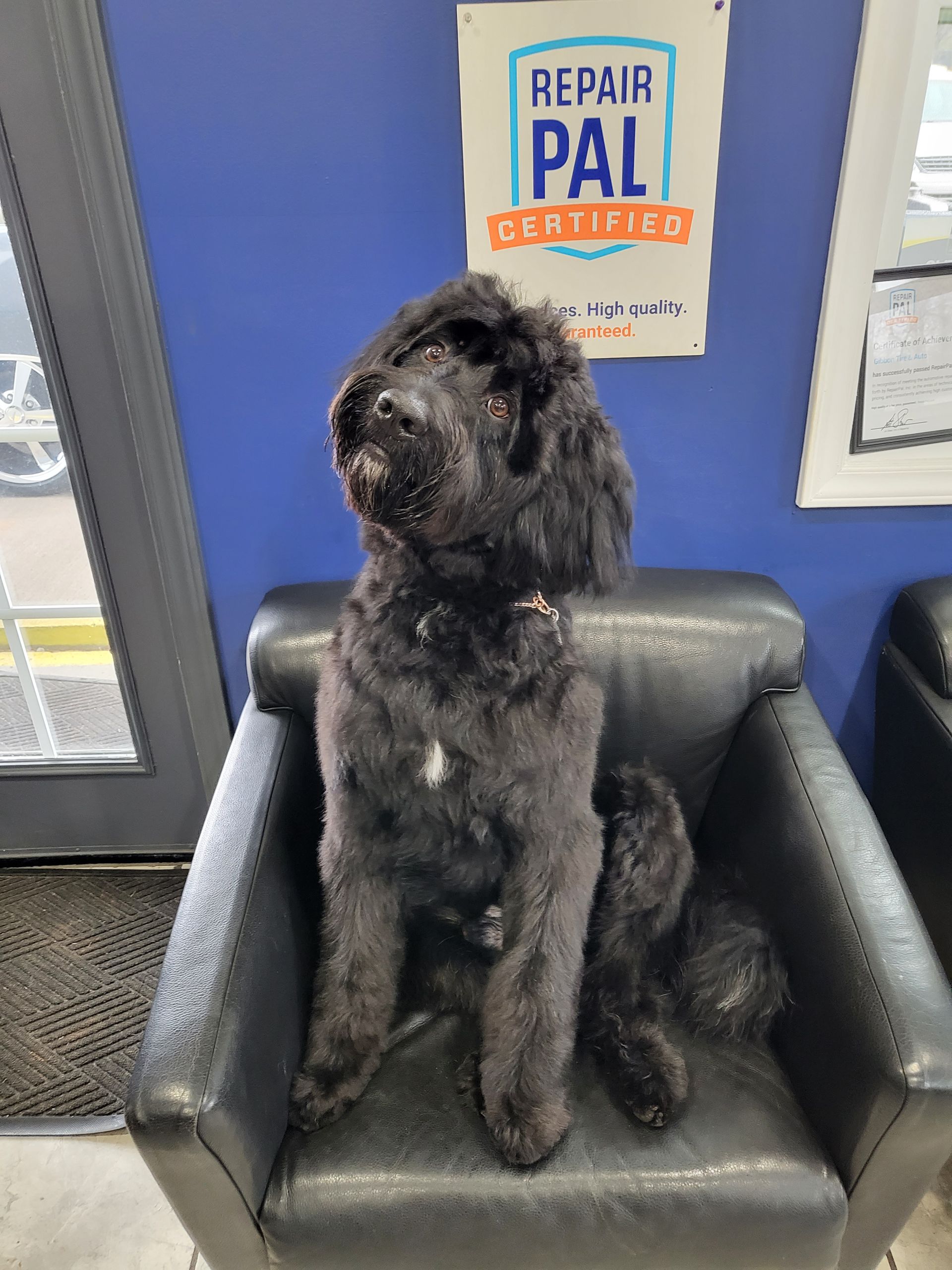 Charlotte Auto Repair Gibbon Tire & Auto