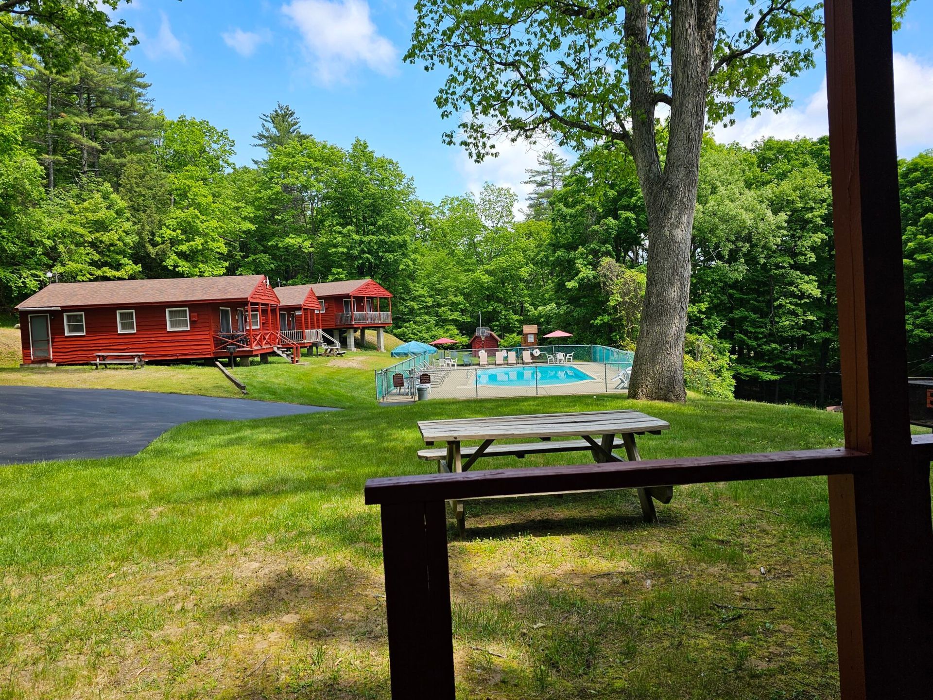Red cabin by a pool on a sunny lawn with trees and picnic tables