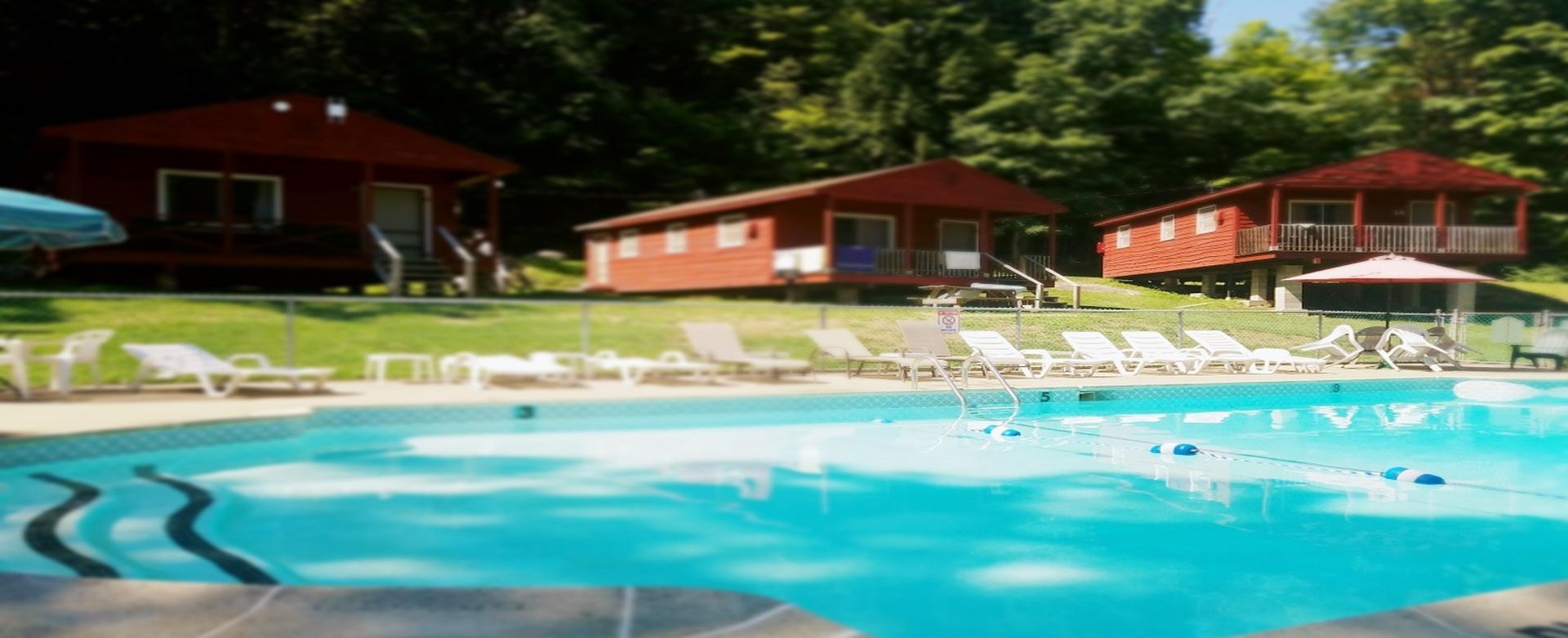 Outdoor resort pool with lounge chairs and red cabins under trees