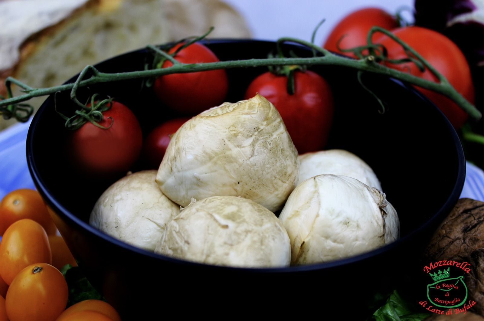 SCAMORZA AFFUMICATA