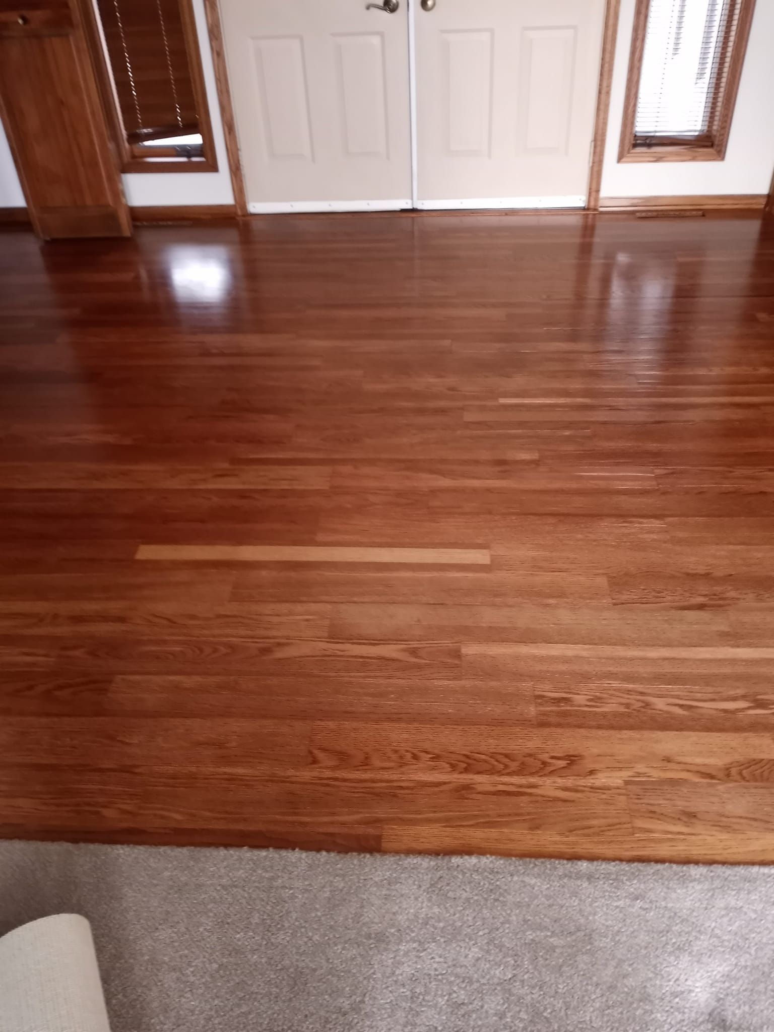 A living room with hardwood floors and white doors.