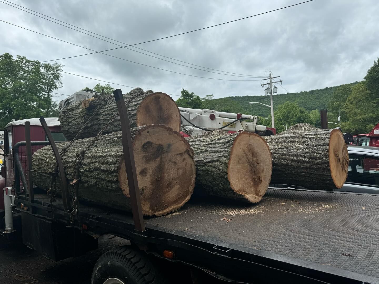 Logs loaded on a flatbed truck under cloudy skies, with hills and power lines in the background