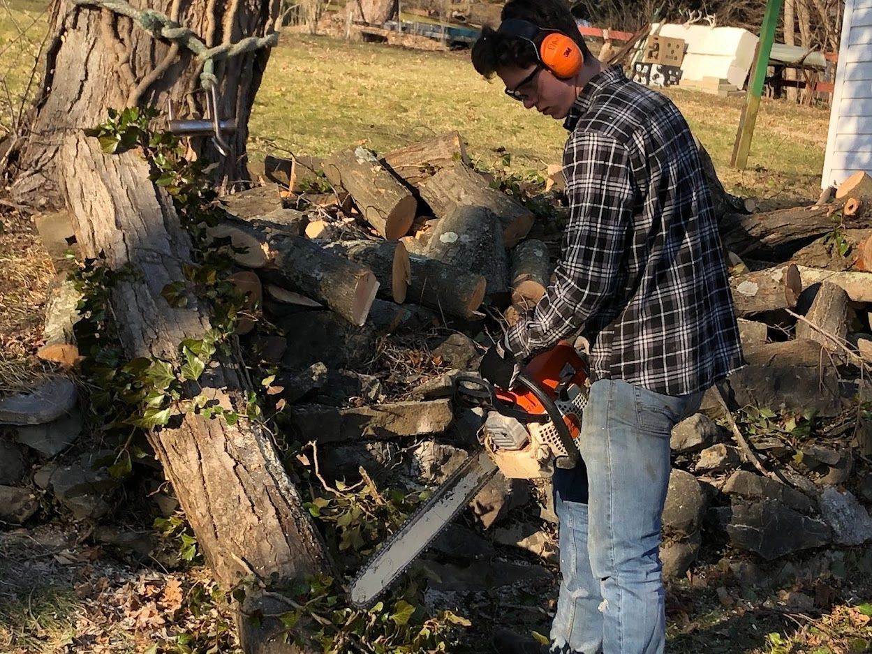 Person in orange earmuffs using a chainsaw to cut wood outdoors among logs and debris